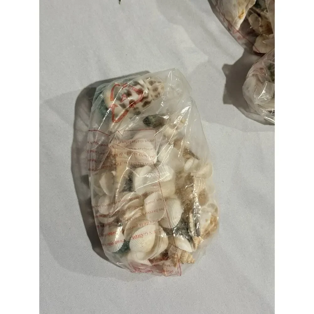 Lot of 4 Bags Assorted Natural Seashells with Cowries, Scallops & Decorative